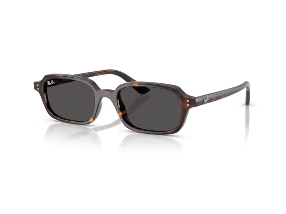 Ray-Ban Rayban RB4455 135987