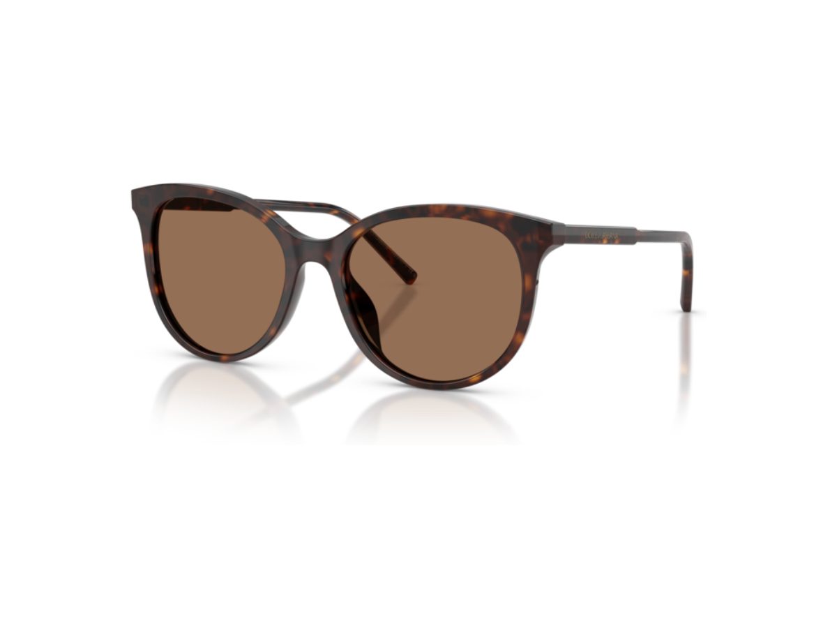 Dolce & Gabbana DG 4540 502/13